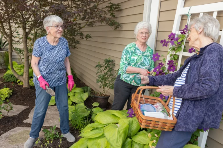 group of women gardening